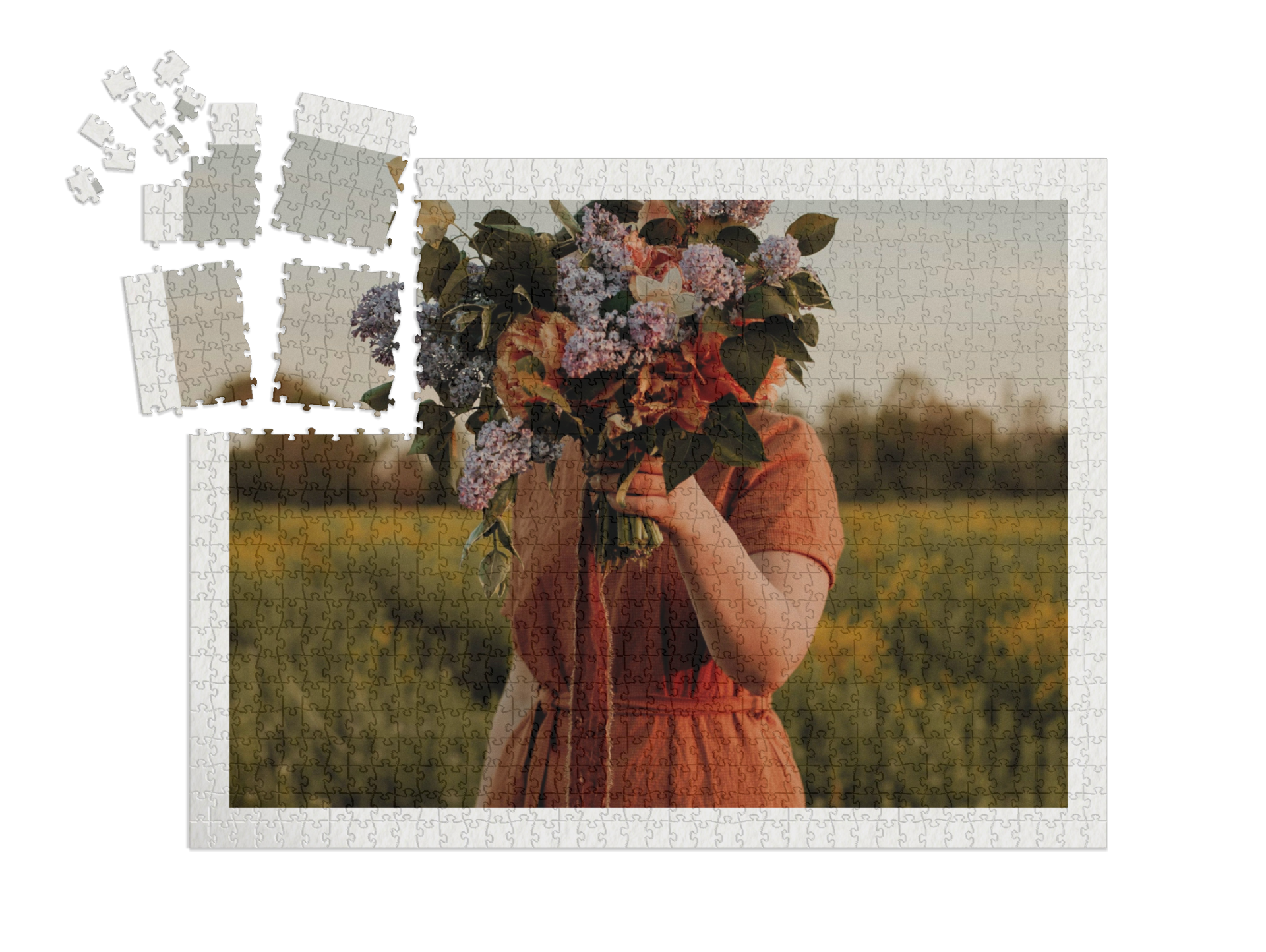 Puzzle landscape
